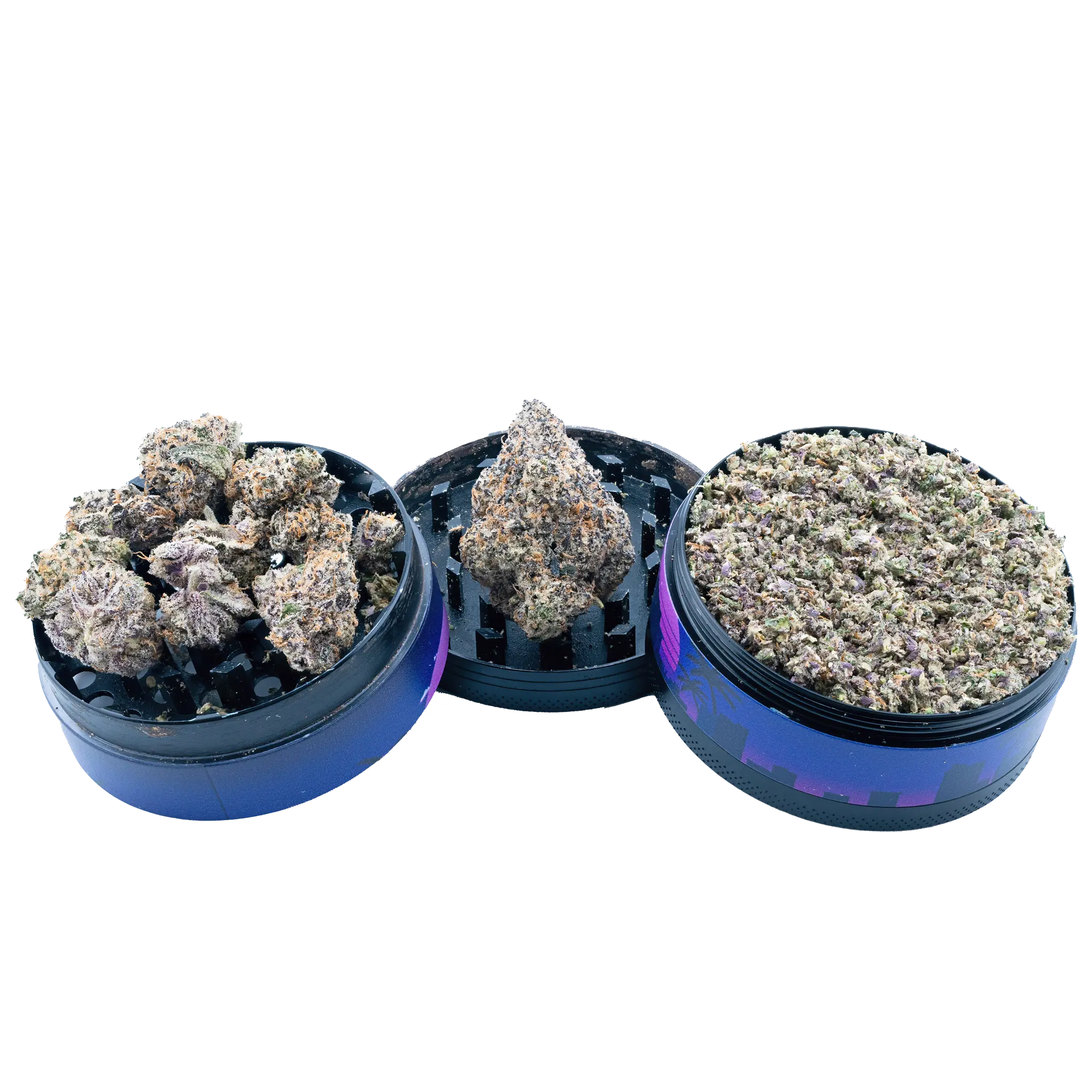 Bulk Greenhouse Flower - Image 10