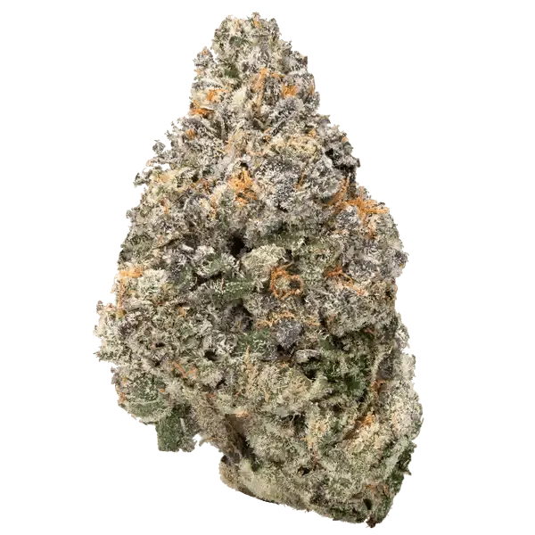 Bulk Discount Indoor Flower - Image 11