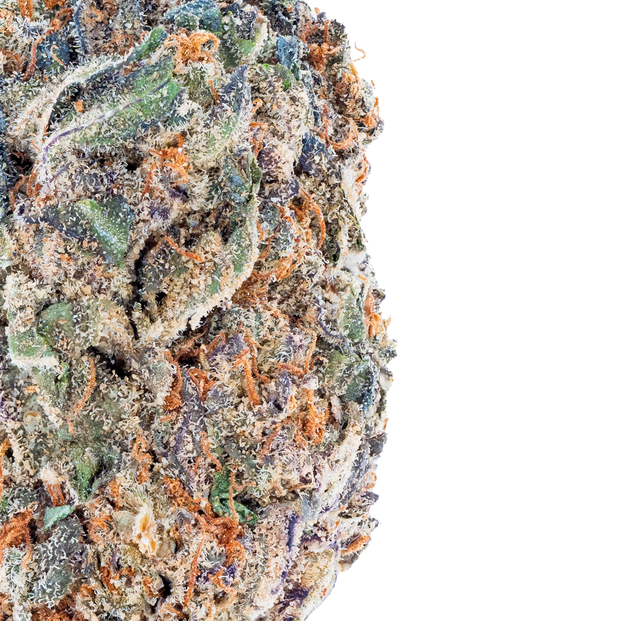 Bulk Super Exotic THCa Flower - Image 2