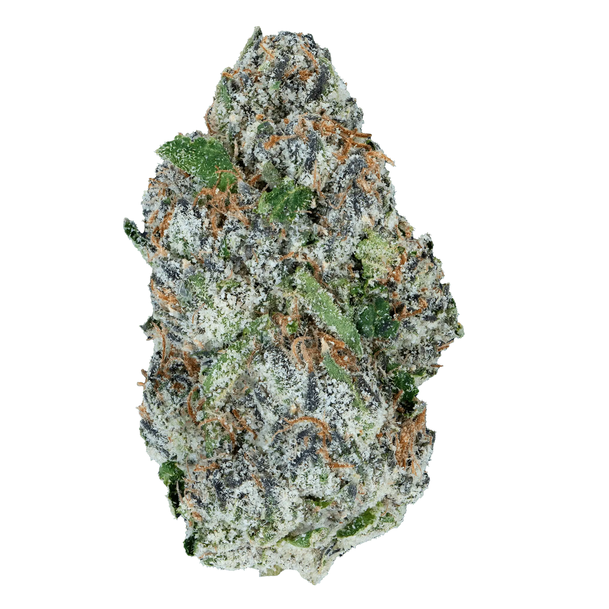 Lil Baby - Alien ET THCa - Image 20