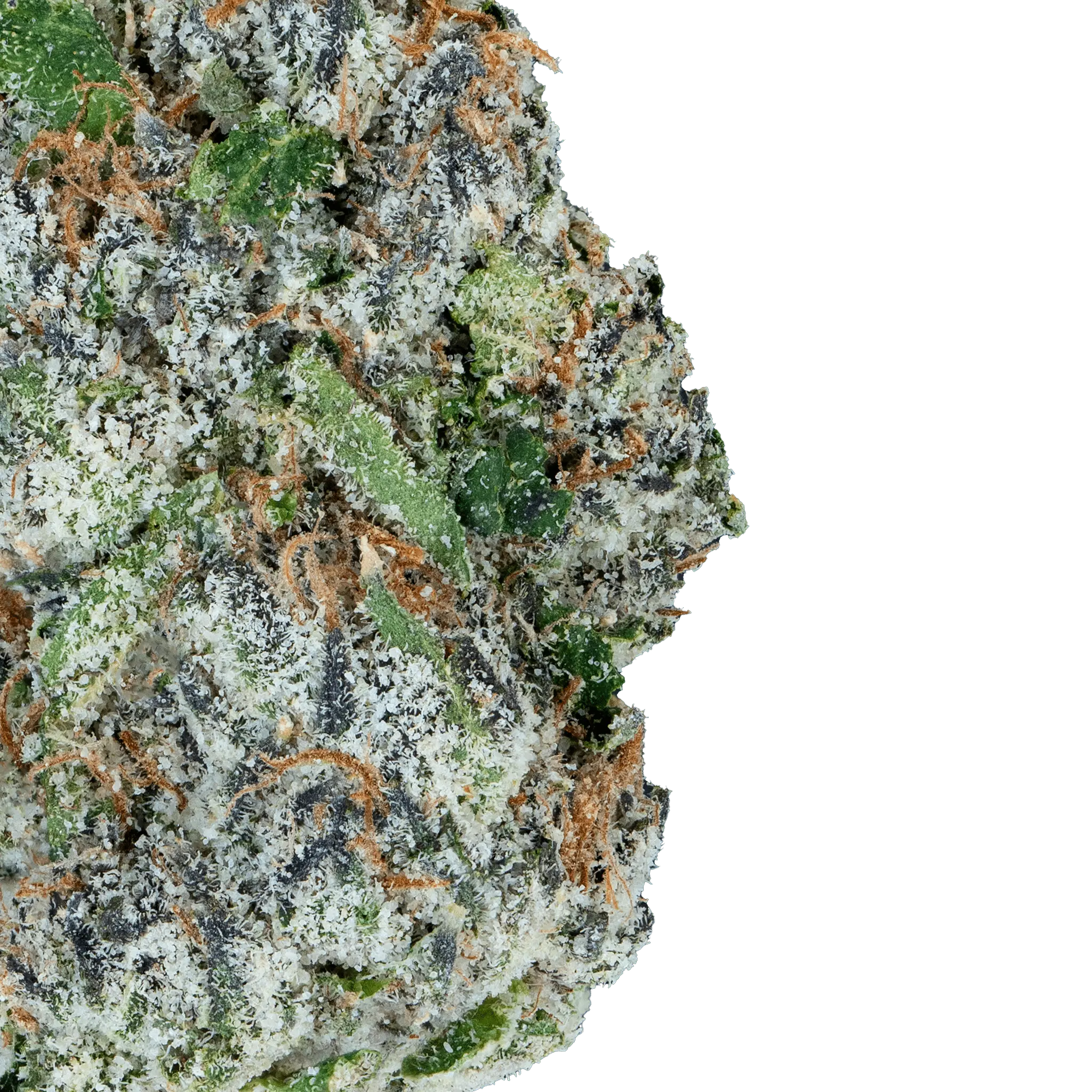 Lil Baby - Alien ET THCa - Image 21