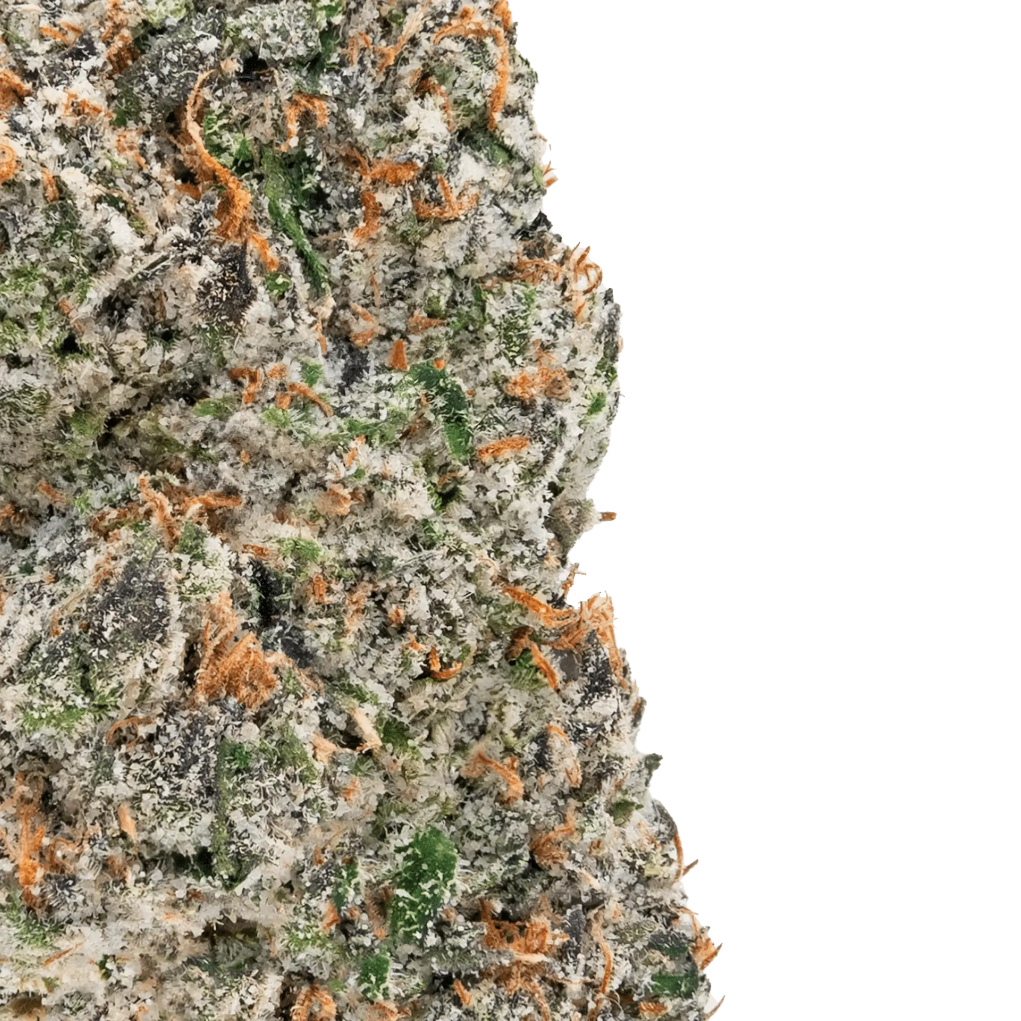 Snazzy Sesh THCa Flower - Image 2