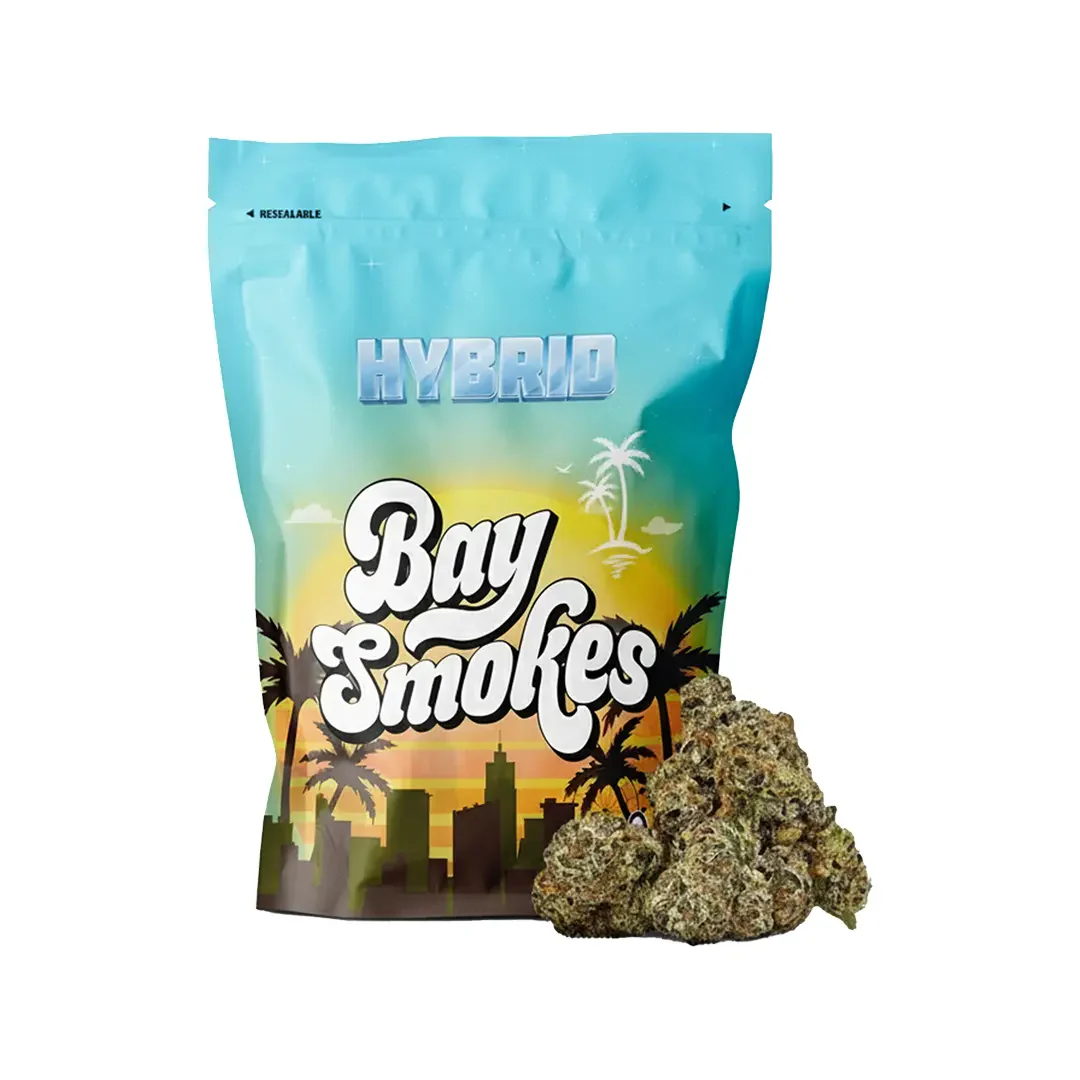 Baysentials - Image 9