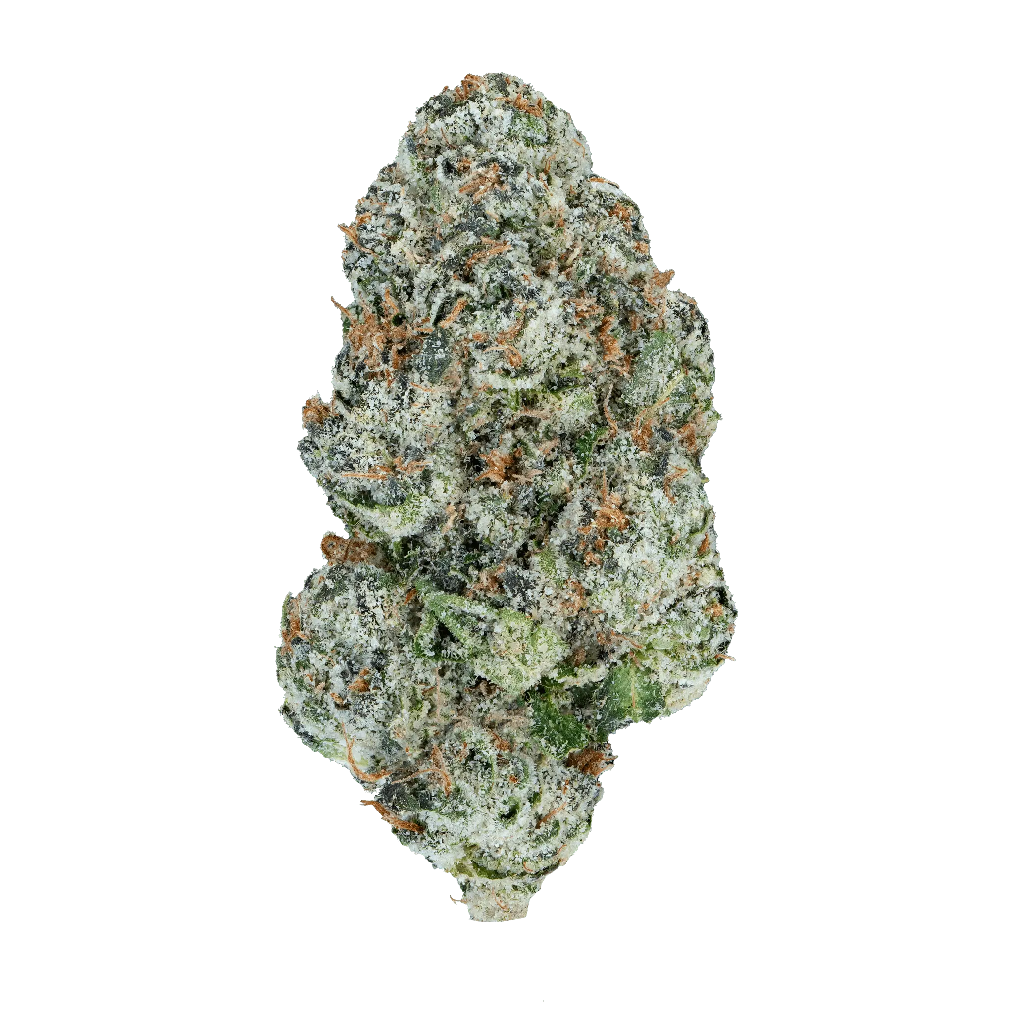 Super Zoldier Serum THCa Flower